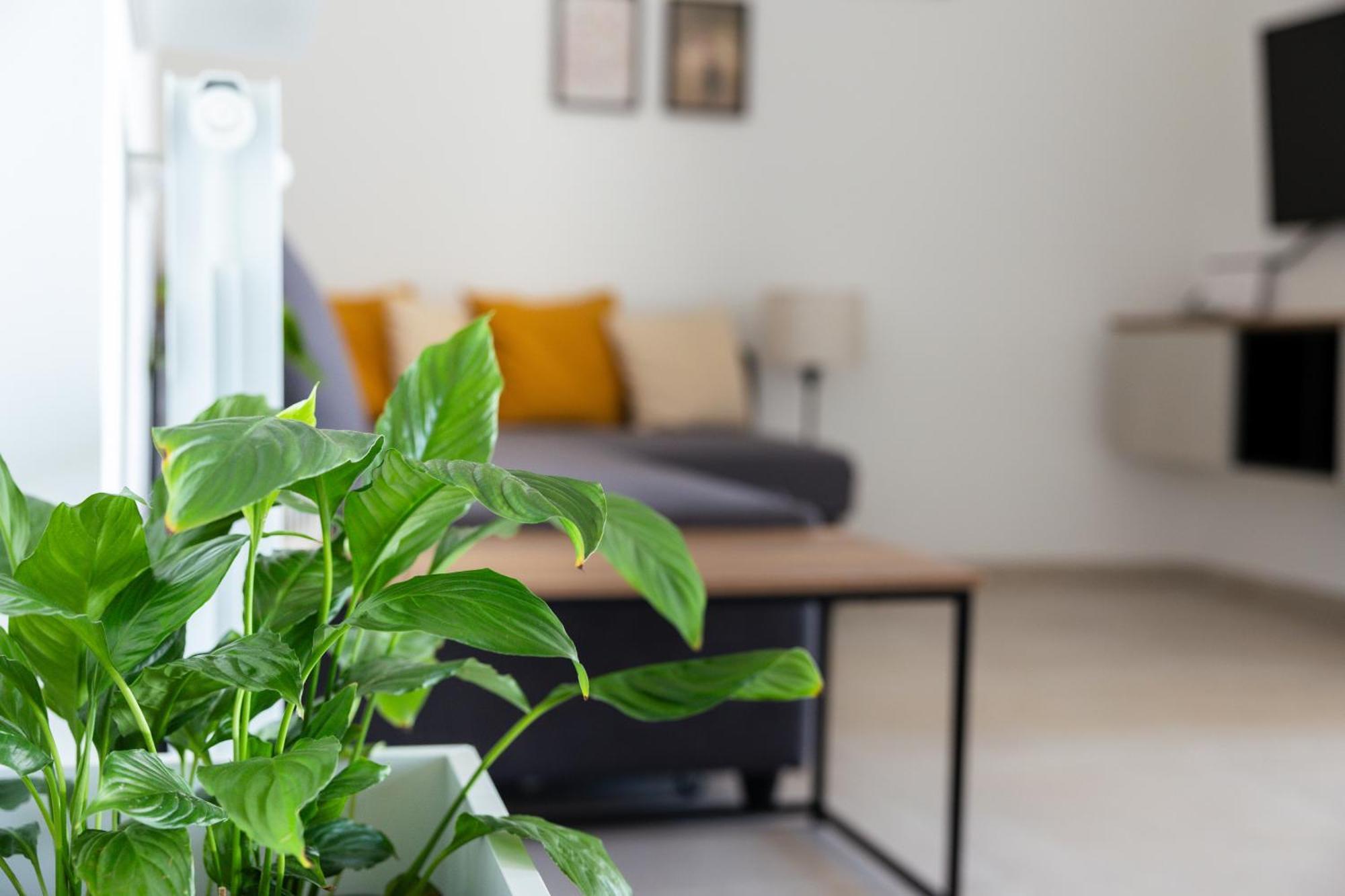 La Terrazza Apartment
